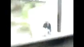 دختر, بدون شک, نشان  ...