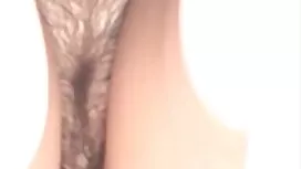 سوراخ کانال و گروه س ...