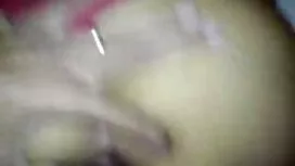 الی گربه از کانال سک ...