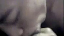 پدر و مادر هنرمند بر ...